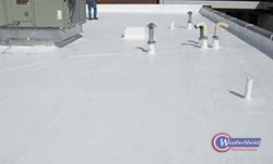 tpo commercial roof